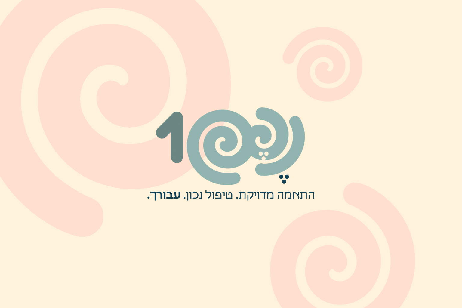 תצוגה מהפרויקט נפש1